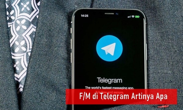 FM di Telegram Artiny